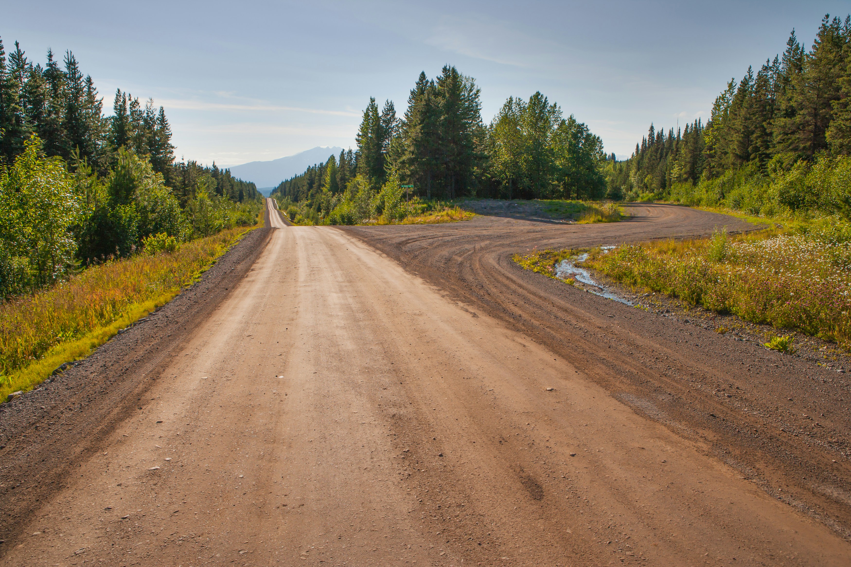 A country road with trees lining the path